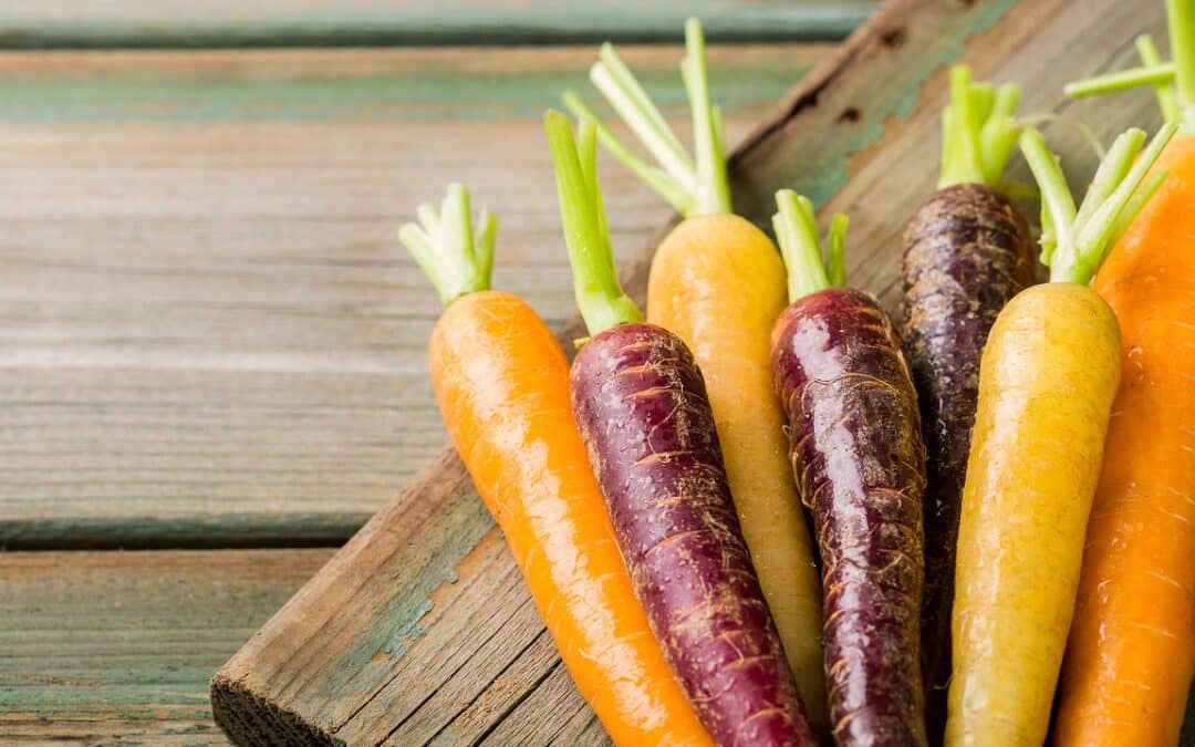 Colorful carrots for Carnival